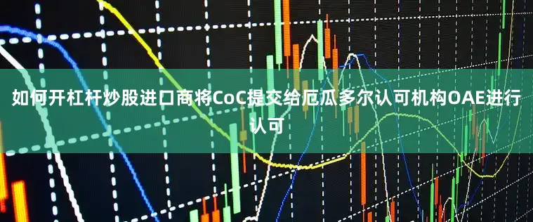 如何开杠杆炒股进口商将CoC提交给厄瓜多尔认可机构OAE进行认可