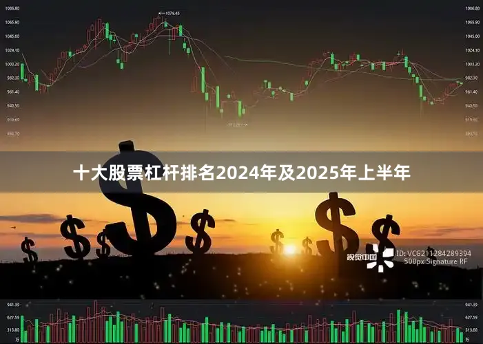 十大股票杠杆排名2024年及2025年上半年