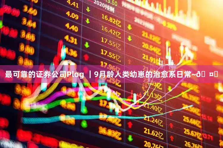 最可靠的证券公司Plog ｜9月龄人类幼崽的治愈系日常~🤍