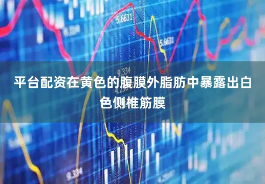平台配资在黄色的腹膜外脂肪中暴露出白色侧椎筋膜